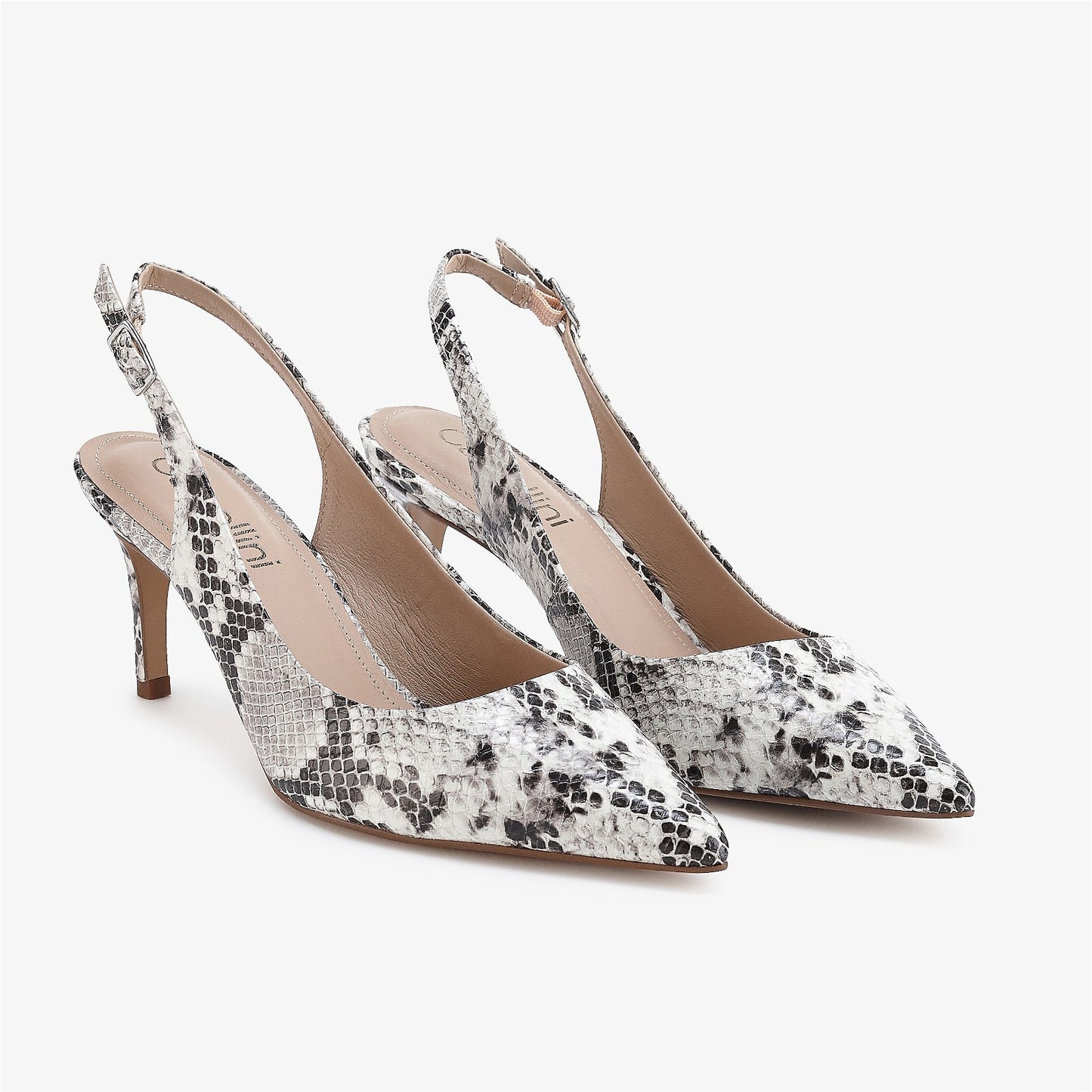 Iris Ivory Snake