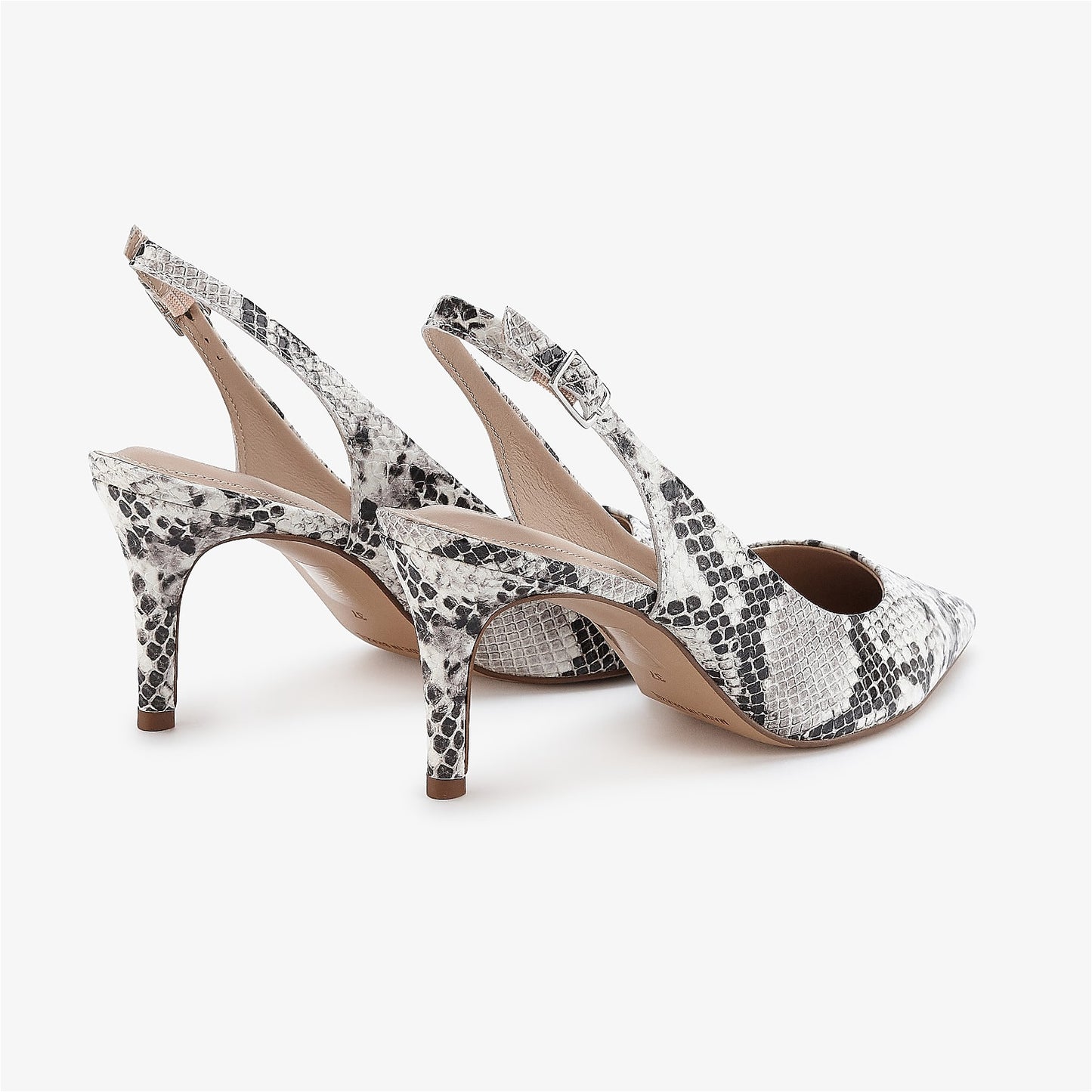 Iris Ivory Snake