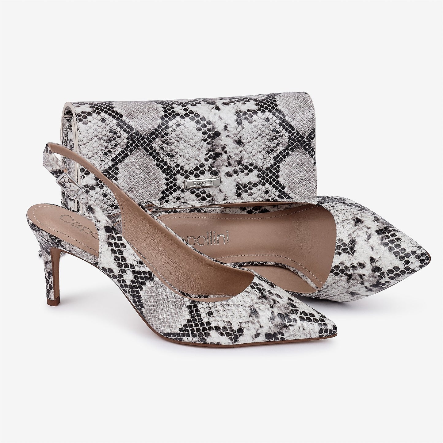 Iris Ivory Snake