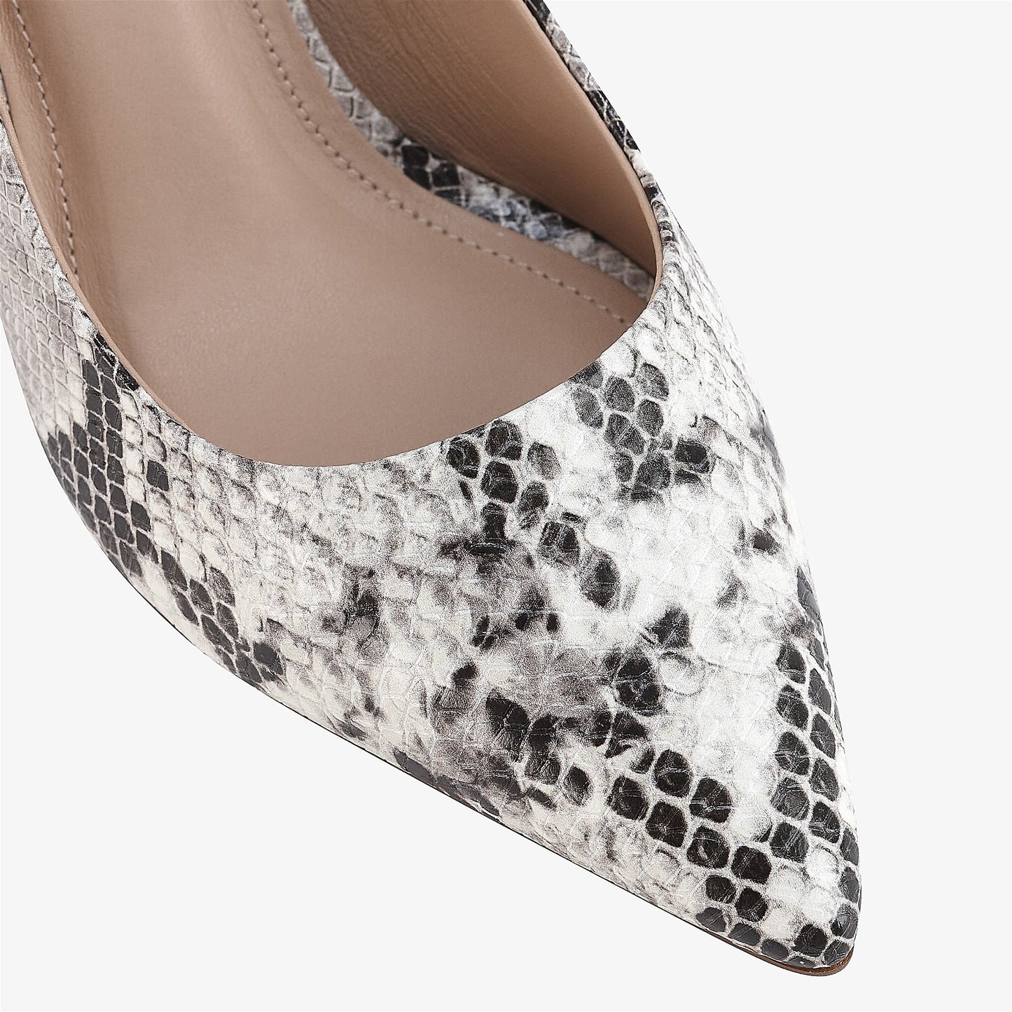 Iris Ivory Snake